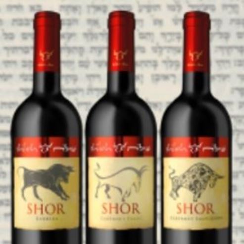 Shiloh Winery