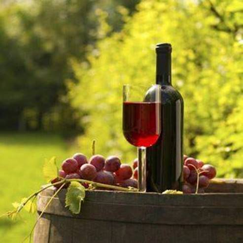Domain de Latroun Winery