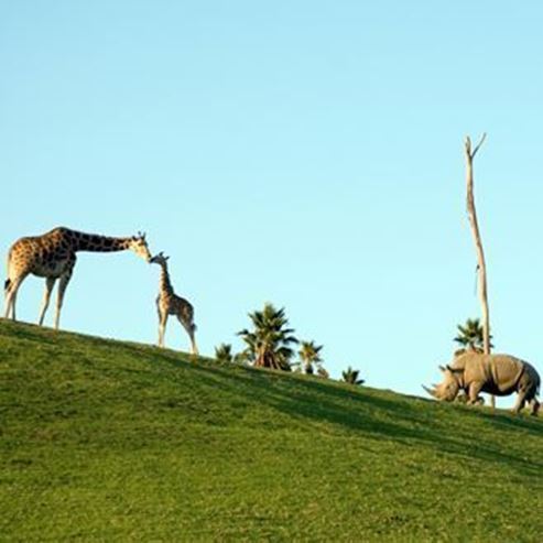 Local de Observação de Aves - Mivtzar Antipatris