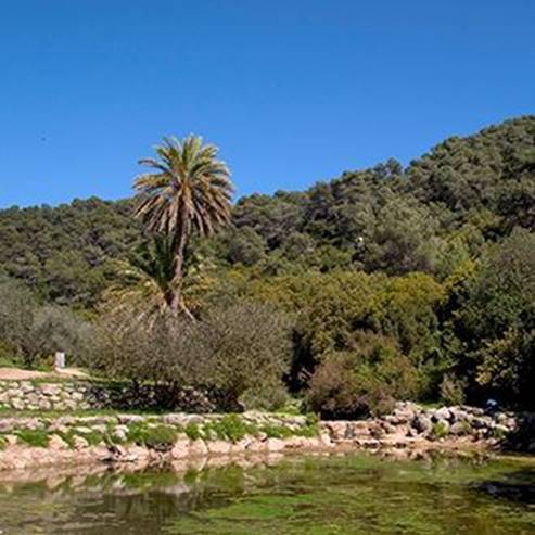 Mount Carmel National Park And Nature Reserve