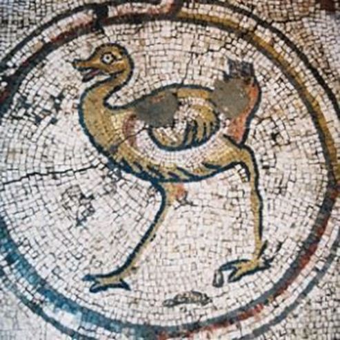 Les mosaïques d'oiseaux de la Villa Caesarea