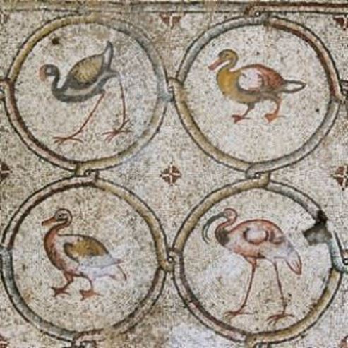 "Mosaico de Aves" en la Villa Cesarea