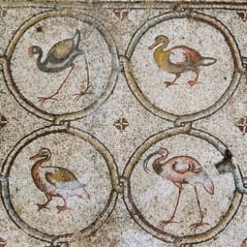 “Bird Mosaic” In The Caesarea Villa