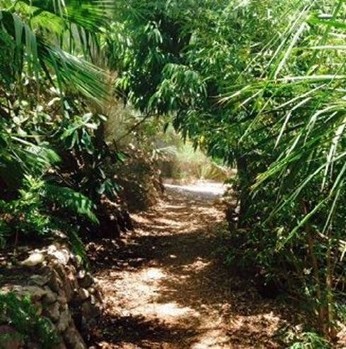 Jardín Botánico de Eilat