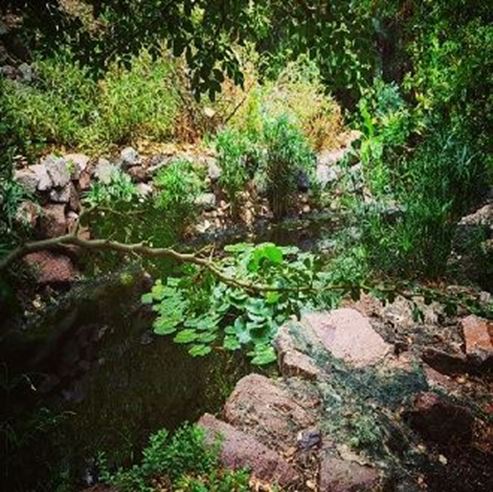 Jardín Botánico de Eilat