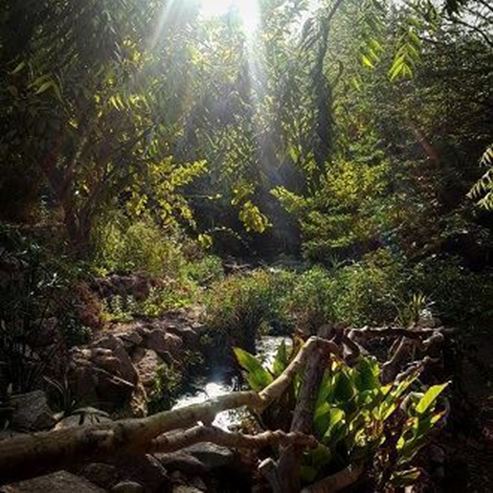 Eilat's Botanical Garden