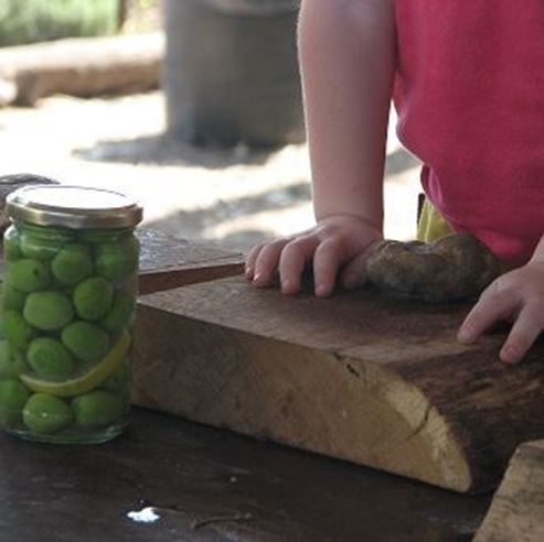 Gilad's Farm - Touching Nature