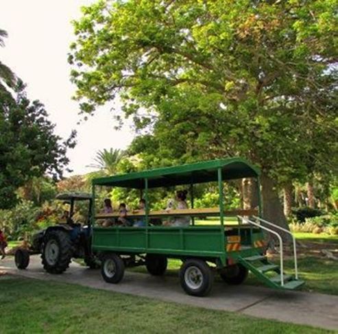 The Botanical Garden in Kibbutz Ein Gedi