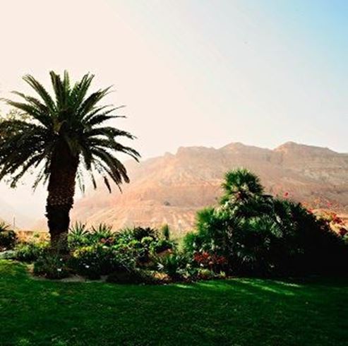 Der botanische Garten im Kibbuz ein Gedi