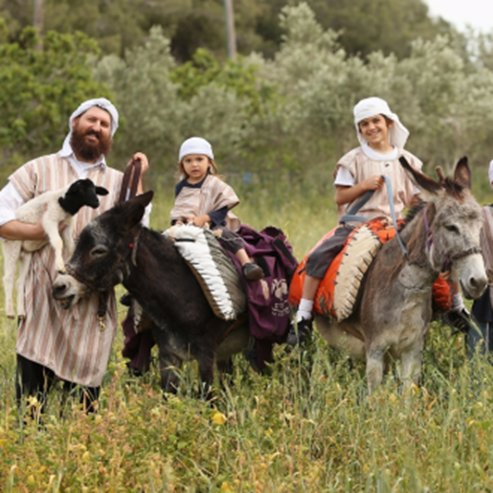 A antiga Galileia revive em Kfar Kedem