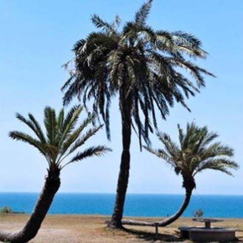 Praia do Parque Nacional de Ashkelon