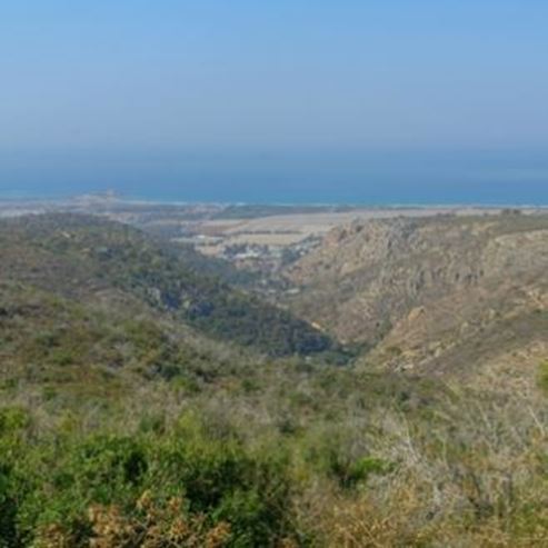 Monte del Carmelo