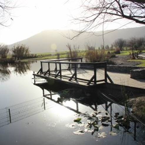 Hula Lake