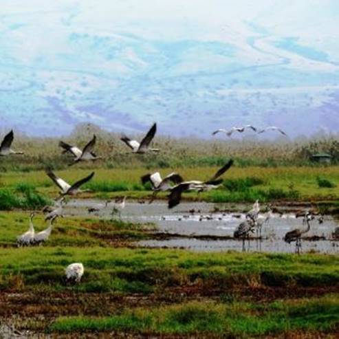 Hula Lake