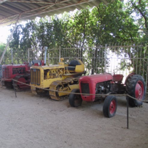 Museo del Valle de Jezreel, Kibutz Yifat