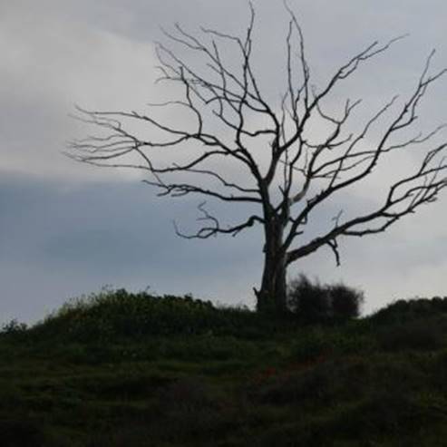 Naturschutzgebiet Bitronot Be'eri