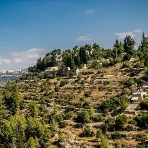 Ein Karem