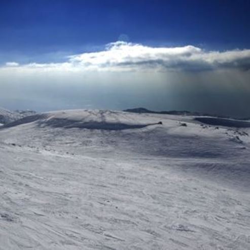 Mt. Hermon