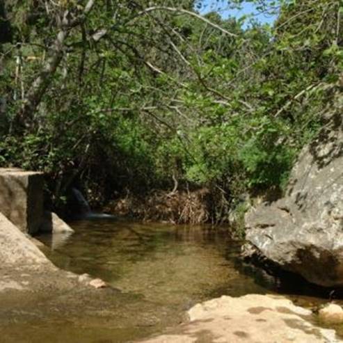 Réserve naturelle de Nahal Amud