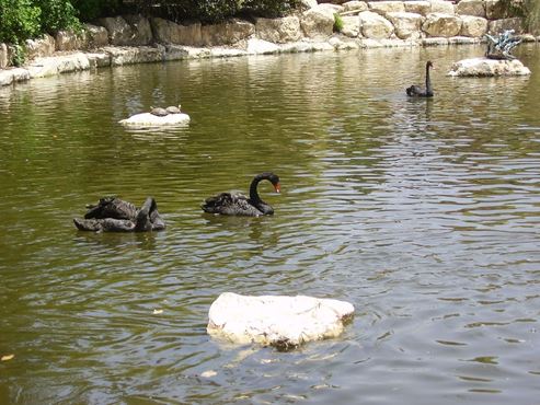 Gan Guru - Ein australischer Park in Israel