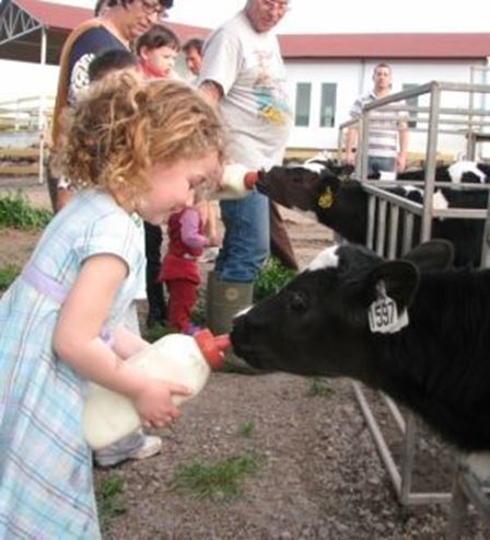 Mee e Moo - Fazenda de Kramer em Moshav Yavne'el