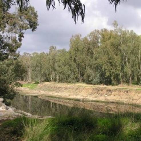 Parque Nacional del Arroyo Rubin (Estuario del Arroyo Soreq)