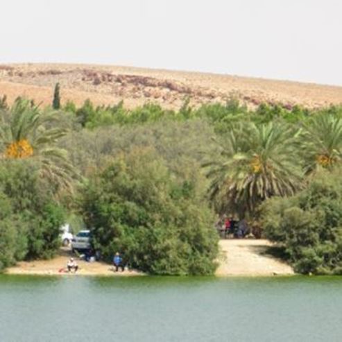 Yeruham Park