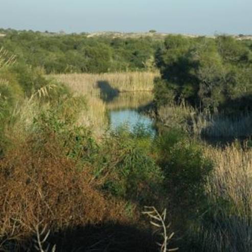 Nitzanim Sands Nature Reserve