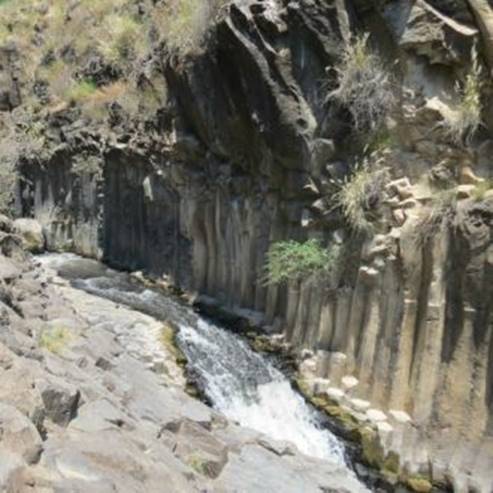 Réserve naturelle de la rivière Hameshusim