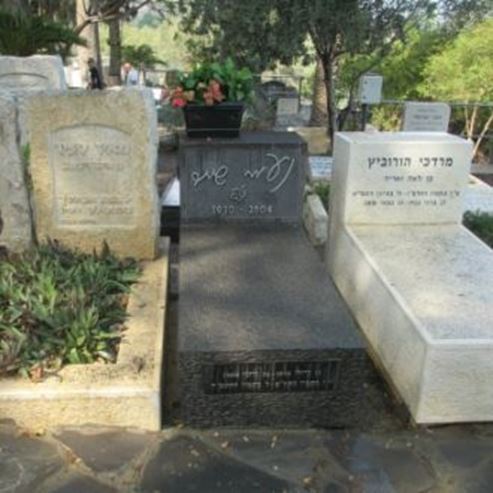 Kinneret Cemetery