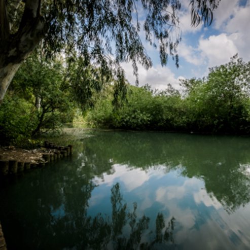 Yarkon National Park