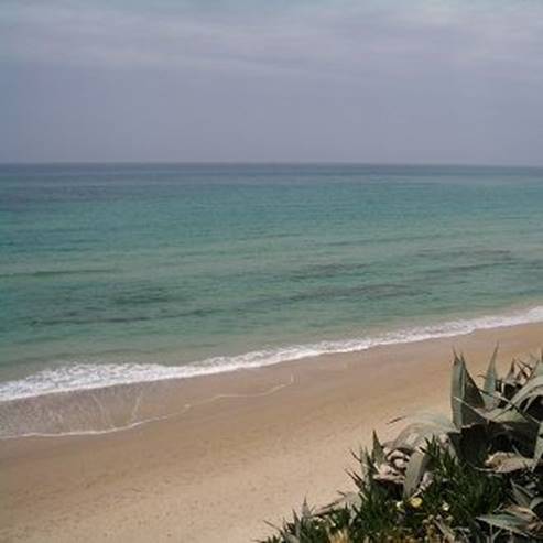 Palmahim Beach National Park