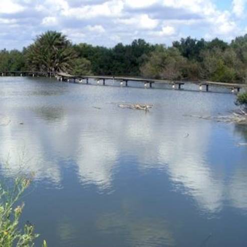 En Afek Nature Reserve