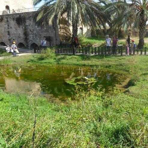 En Afek Nature Reserve