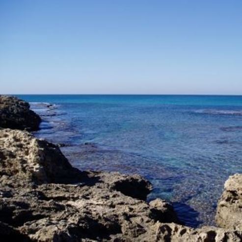 Playa Nachsholim