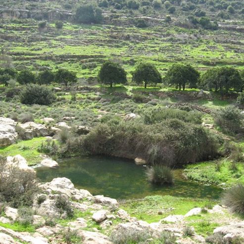 שמורת הטבע נחל פרת - ואדי קלט