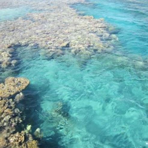 Réserve naturelle de la plage Coral