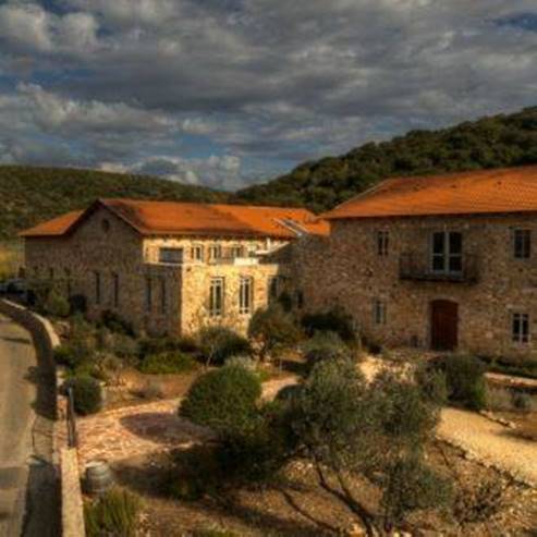 Amphorae Winery