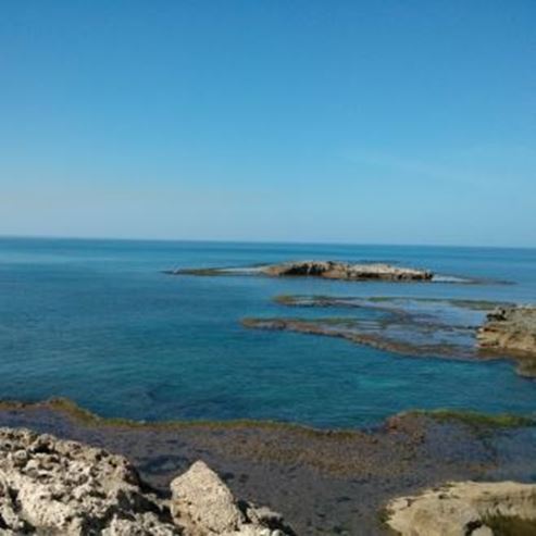 Plage HaBonim