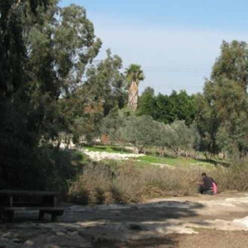 Parco di Kishon