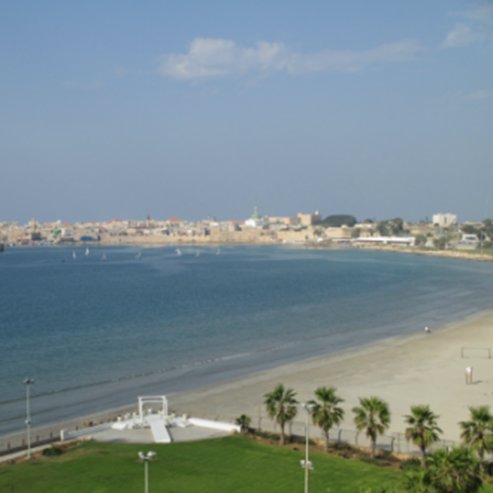 Playa Palm