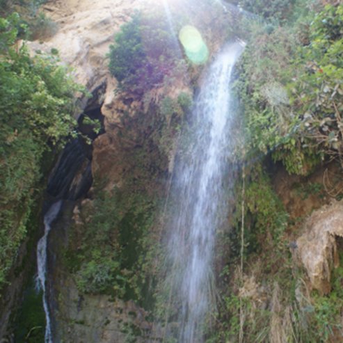 Parque Nacional de Antigüedades de Ein Guedi