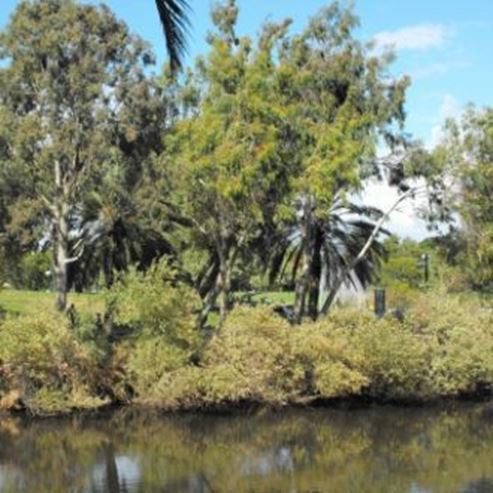 Parque de los Jardines de Joshua