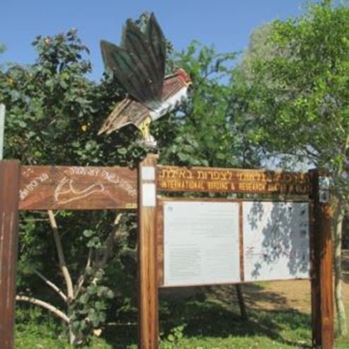 Vogelbeobachtungszentrum Eilat