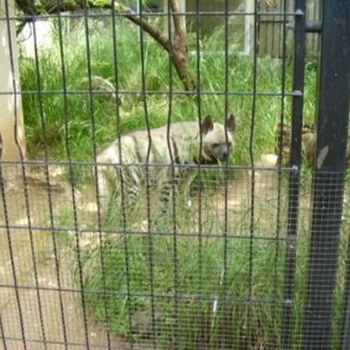 Jardins naturels et parc zoologique consacré aux mammifères terrestres non indigènes