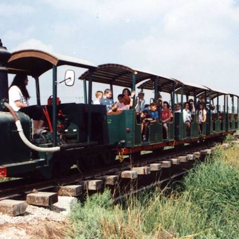 מוזיאון חצר ראשונים, עין שמר