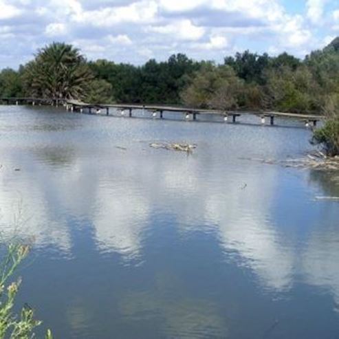 Centro de Observação de Aves Ein Afek da Galileia Ocidental