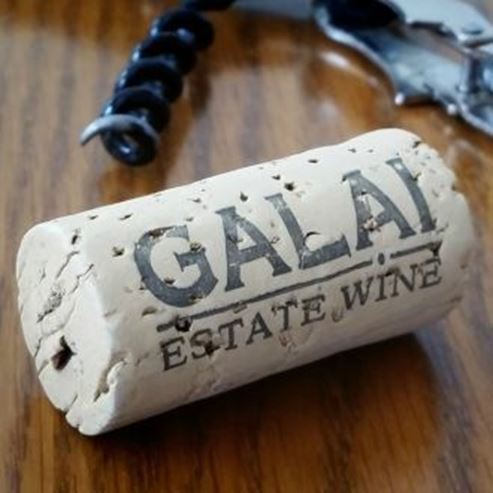 L’exploitation vinicole Galai