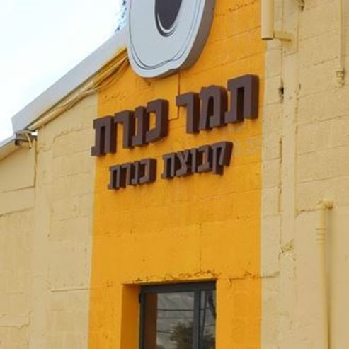 תמר כנרת