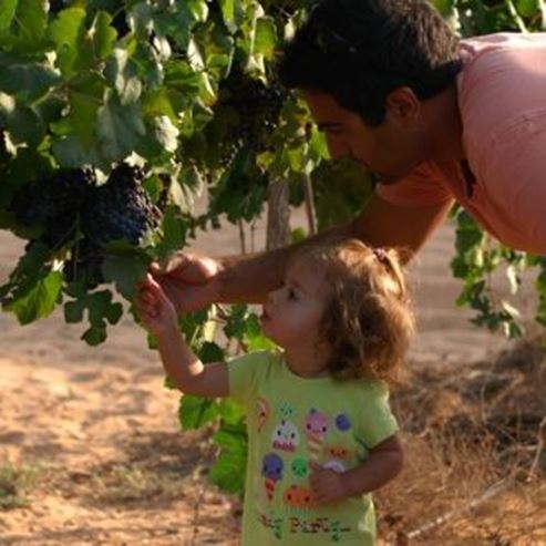 Ramat Negev Winery